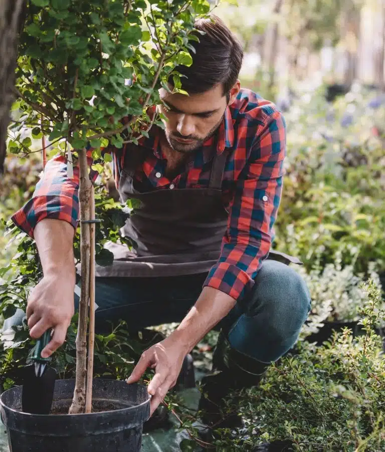 jardinage a domicile